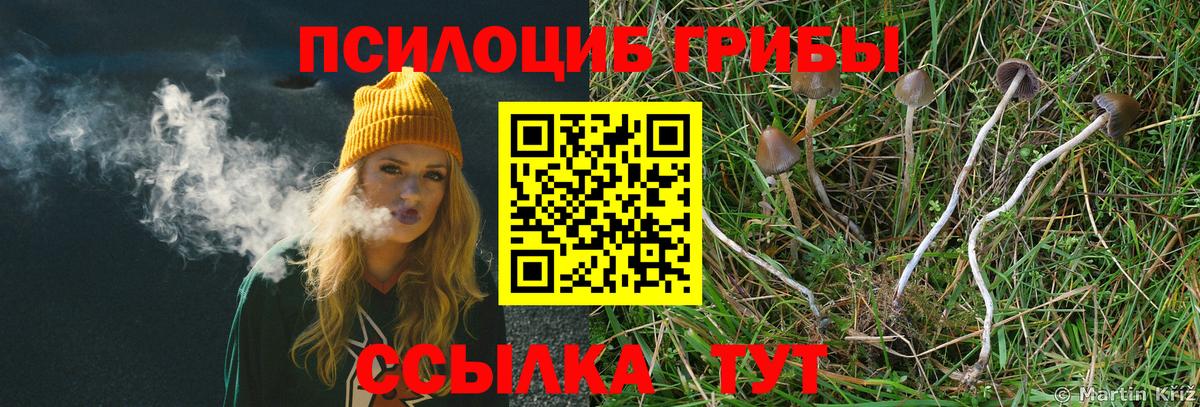 Галлюциногенные грибы мухоморы Каменск-Шахтинский