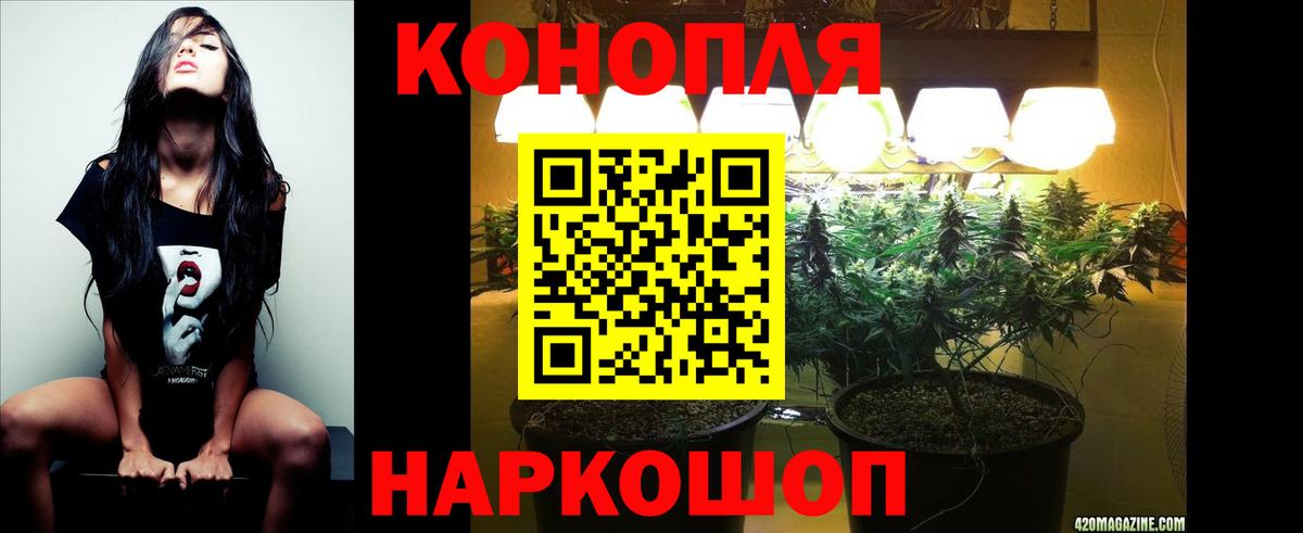 Шишки марихуана гибрид  Марихуана Amnesia  Каменск-Шахтинский  Бошки марихуана конопля  Вход с VPN  МАРИХУАНА VHQ 